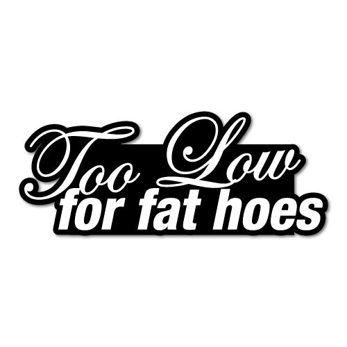 Too Low For Fat Hoes Jdm Sticker Decal