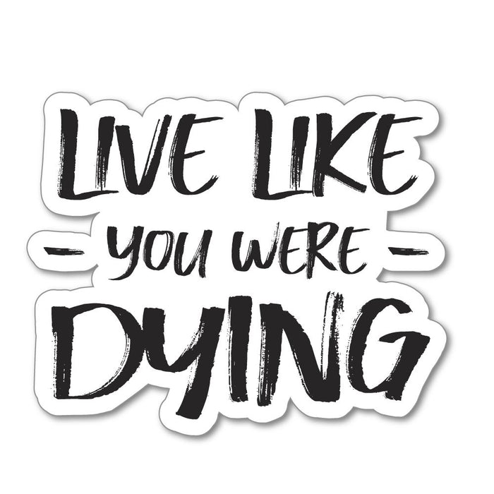 Live Like You Were Dying Sticker Decal