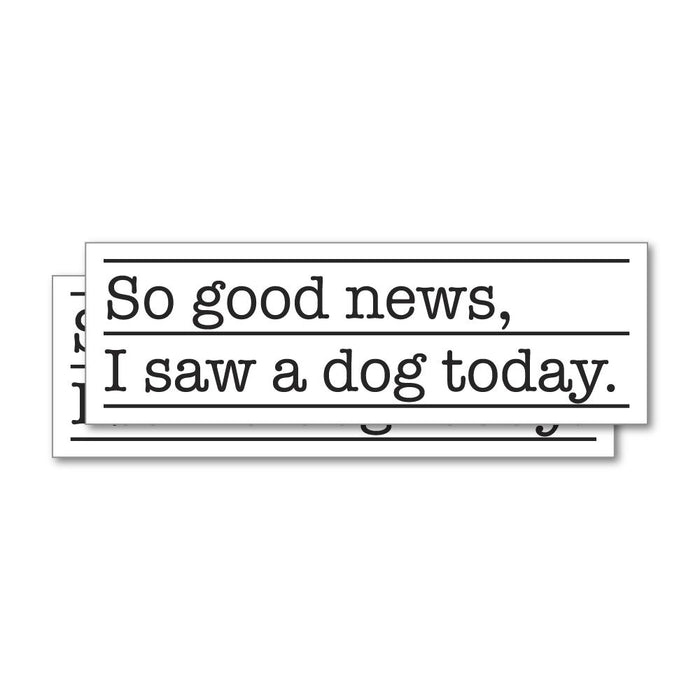 2X I Saw A Dog Today Sticker Decal