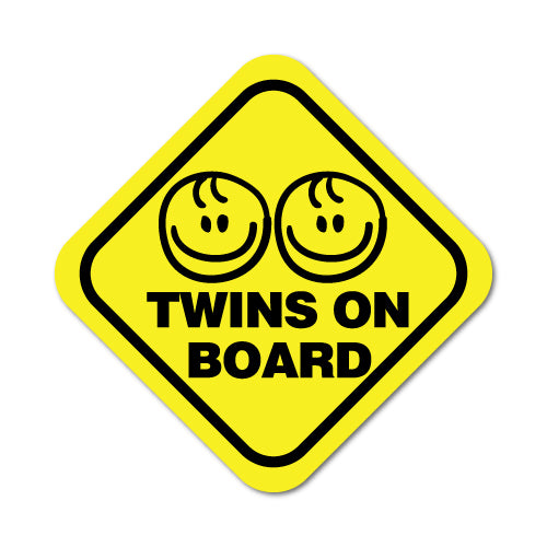 Twin On Board Boy & Boy Sticker