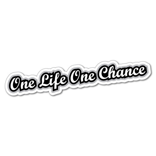 One Life One Chance Sticker