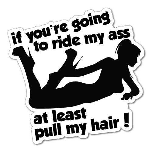 Ride My Ass Pull My Hair Sticker