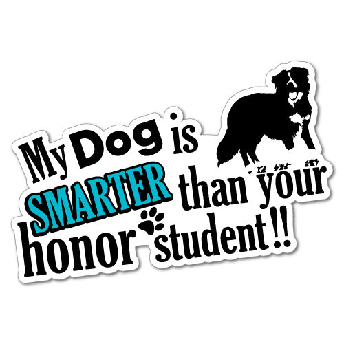 My Dog Is Smarter Funny Sticker