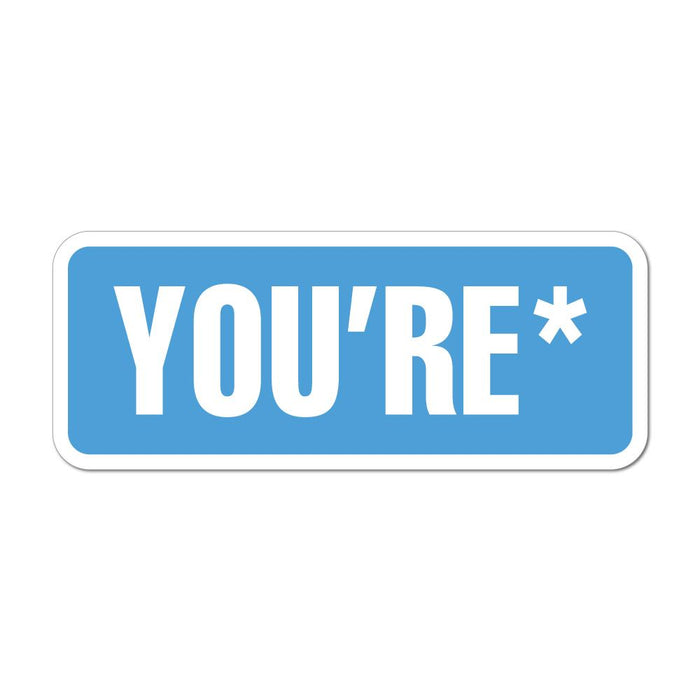 Your Youre Correct Spelling Car Sticker Decal