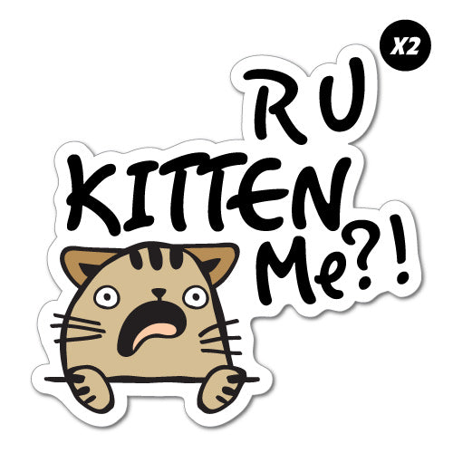 2X R U Kitten Me Sticker