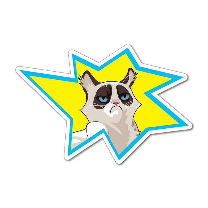 Angry Grumpy Mean Cat Funny Meme Star Joke Trending  Car Sticker Decal