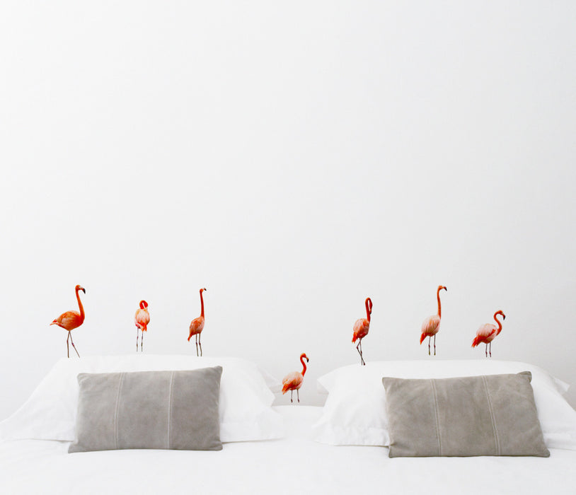 Set Of 10 Flamingo Wall Sticker