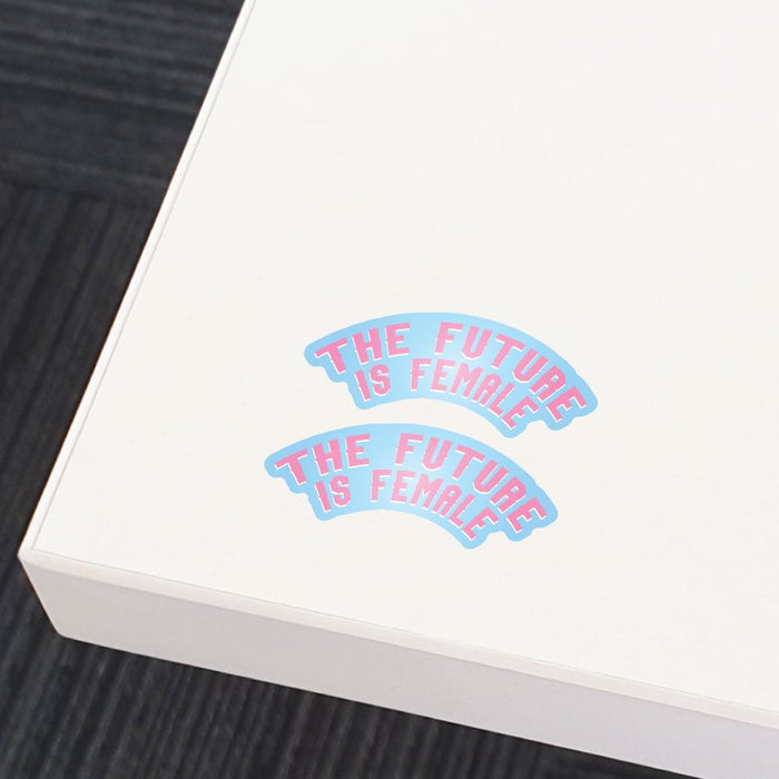 Lady Sticker Sign 2X Female Sticker Decal | Feminist Stickers - Sticker Collective